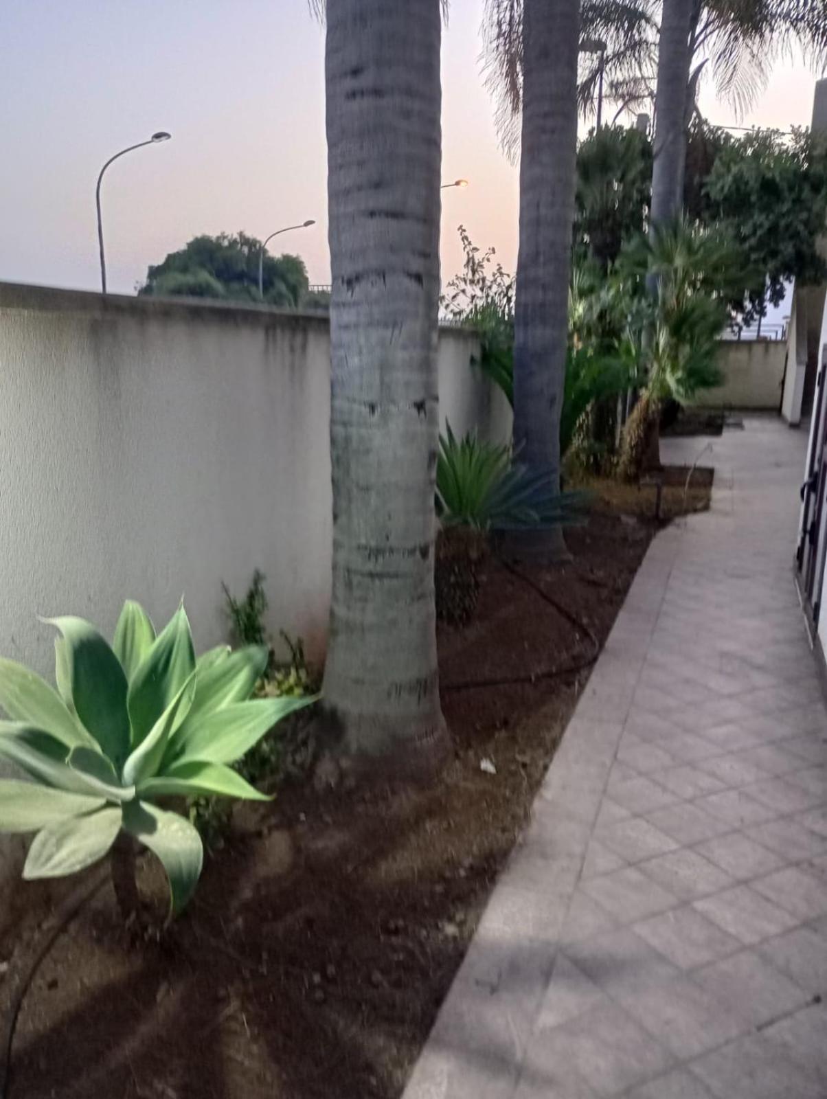 Viki House Mazara Apartment Mazara del Vallo Ngoại thất bức ảnh